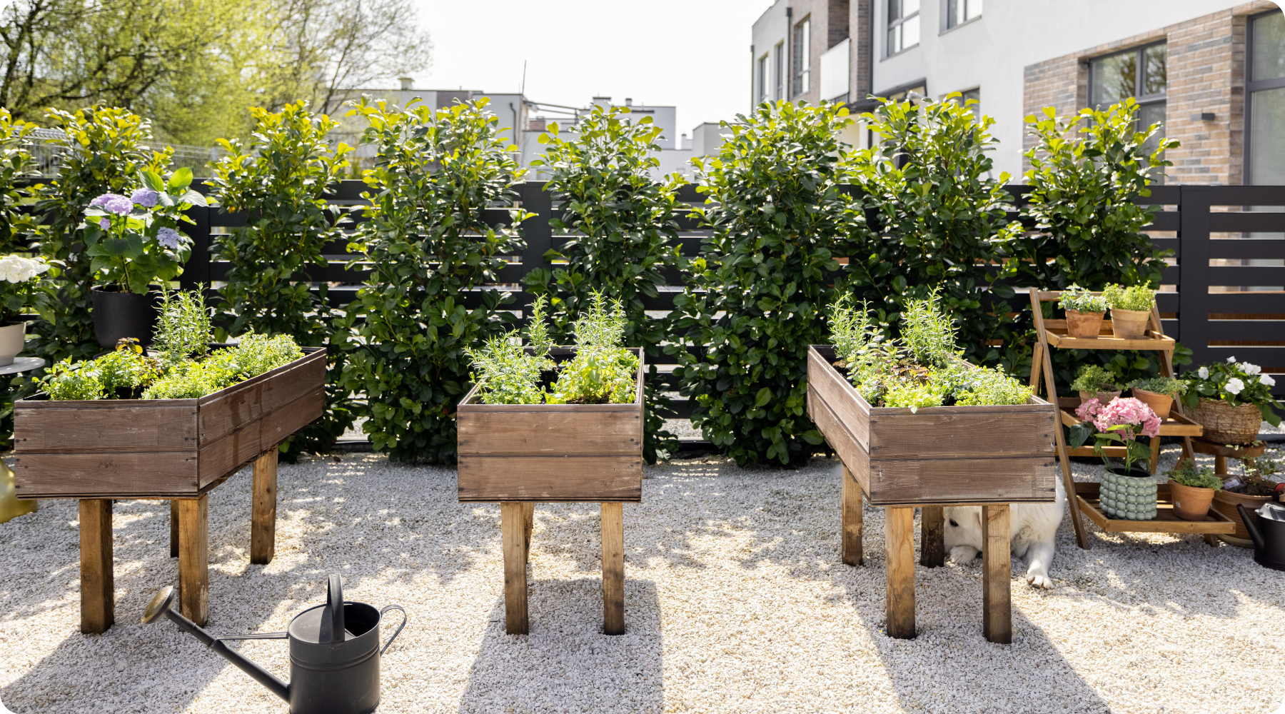 Growing a Sustainable Garden: Tips for Eco-Friendly Gardening